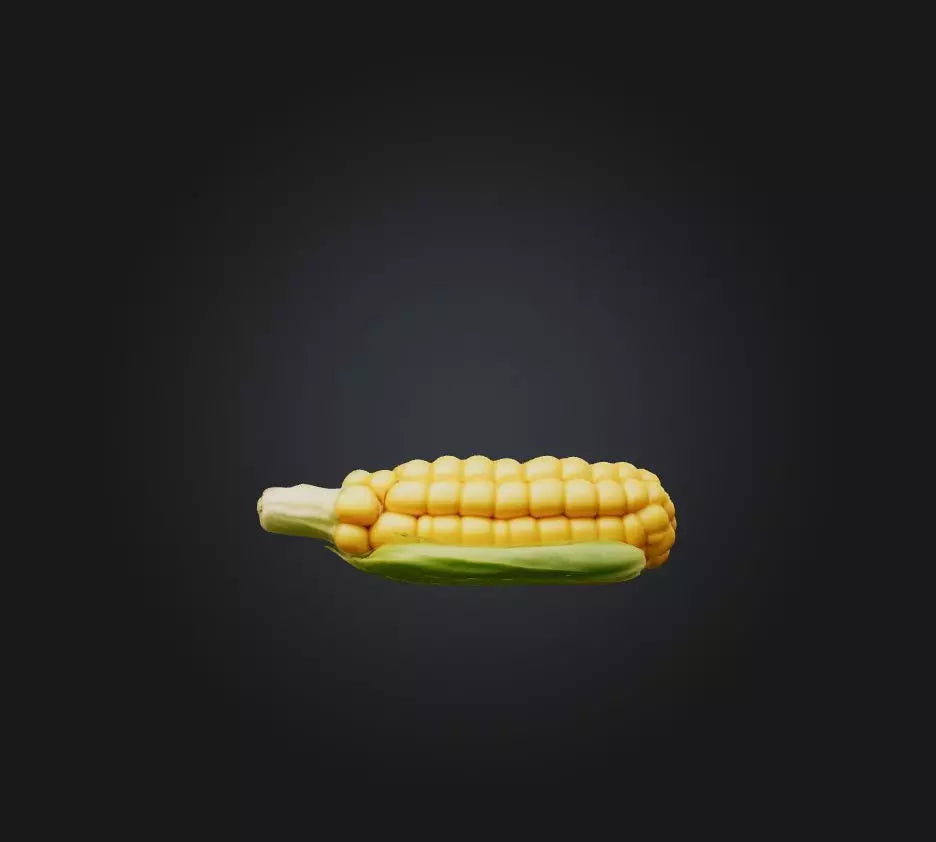 3D model Corn Model VR / AR / low-poly