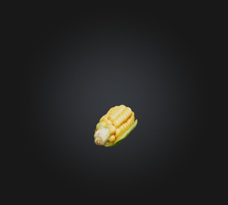 3D model Corn Model VR / AR / low-poly