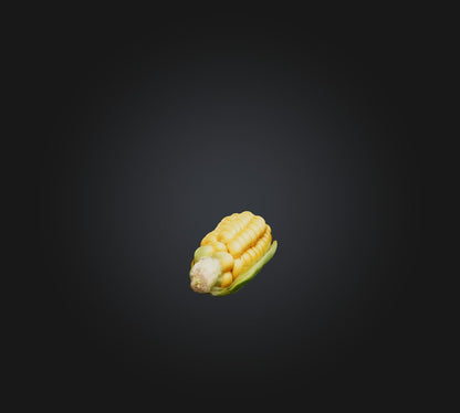 3D model Corn Model VR / AR / low-poly