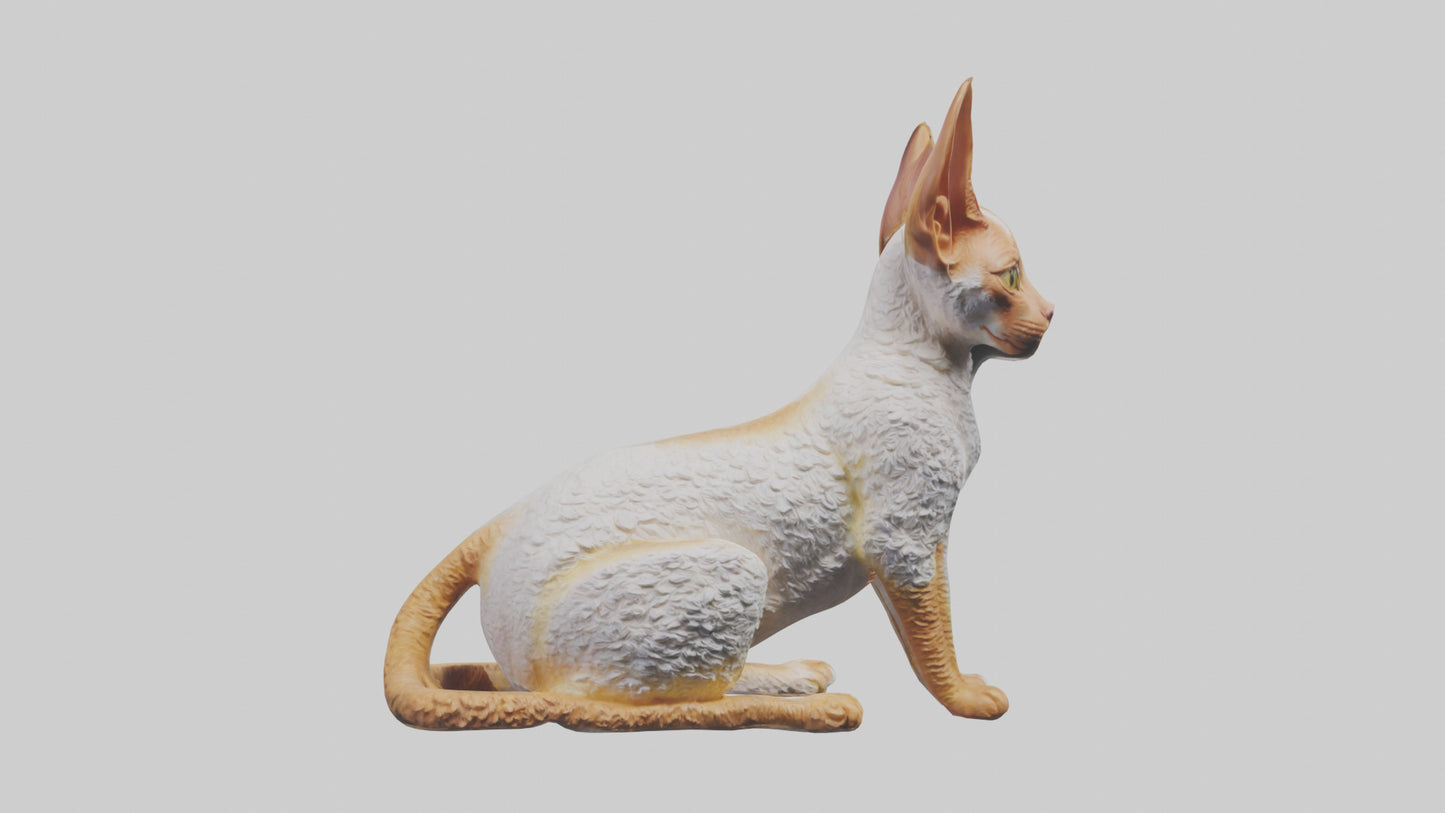 Cornish Rex statue model VR / AR / low-poly