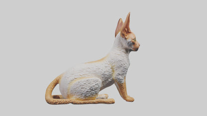 Cornish Rex statue model VR / AR / low-poly