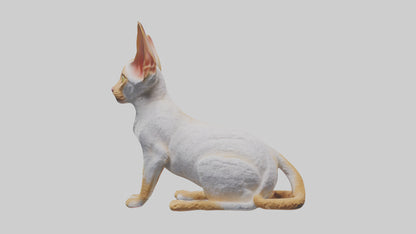 Cornish Rex statue model VR / AR / low-poly