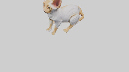 Cornish Rex statue model VR / AR / low-poly