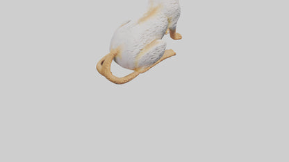 Cornish Rex statue model VR / AR / low-poly