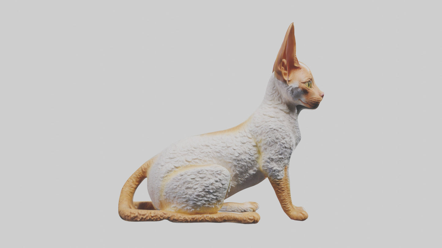 Cornish Rex statue model VR / AR / low-poly