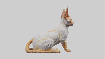 Cornish Rex statue model VR / AR / low-poly