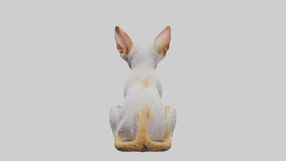 Cornish Rex statue model VR / AR / low-poly