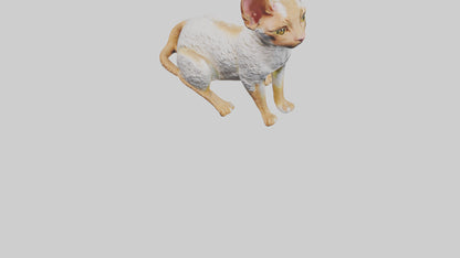 Cornish Rex statue model VR / AR / low-poly