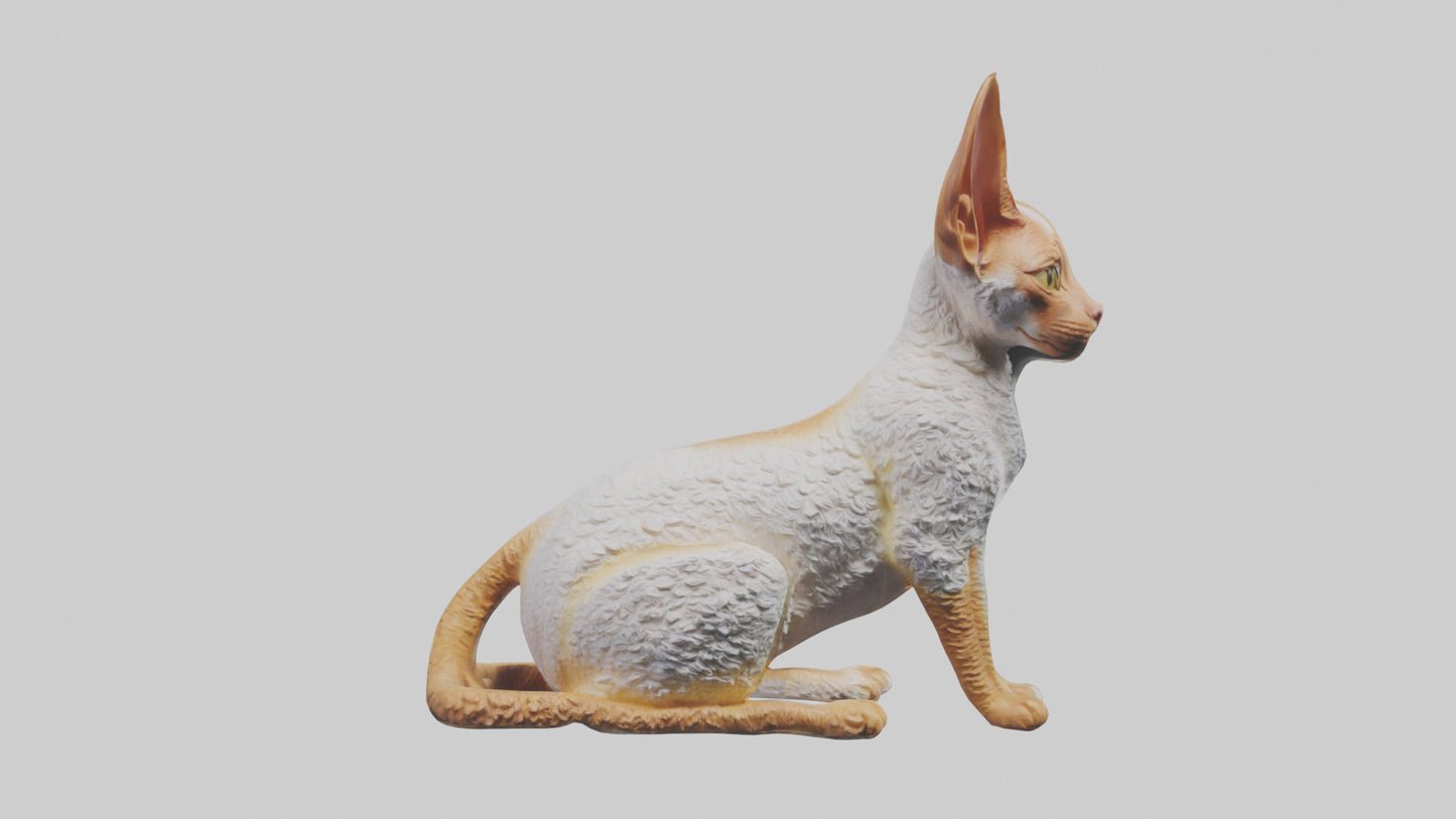Cornish Rex statue model VR / AR / low-poly