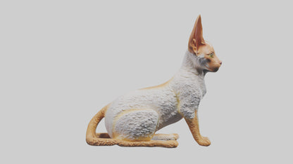 Cornish Rex statue model VR / AR / low-poly