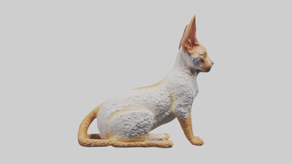 Cornish Rex statue model VR / AR / low-poly