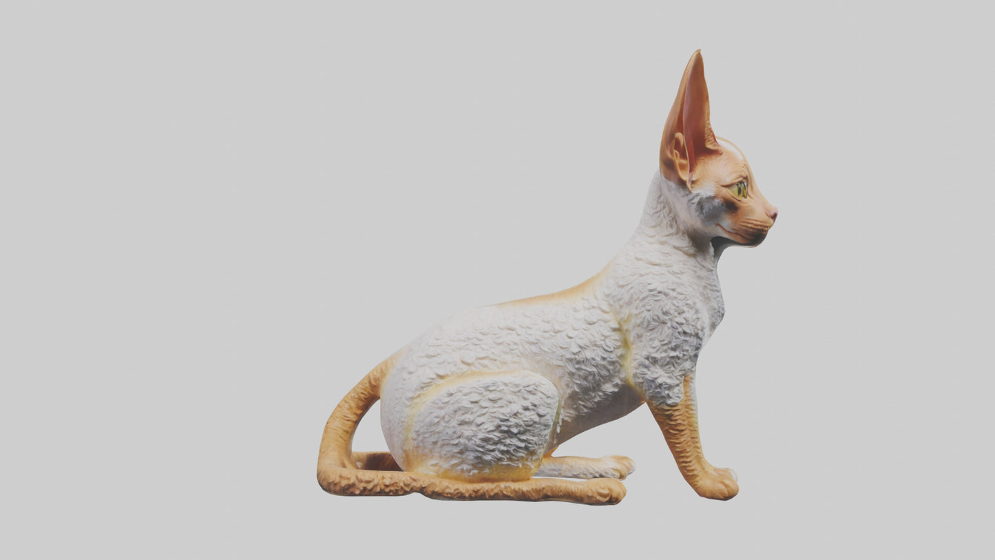 Cornish Rex statue model VR / AR / low-poly