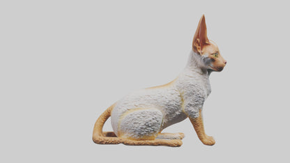 Cornish Rex statue model VR / AR / low-poly
