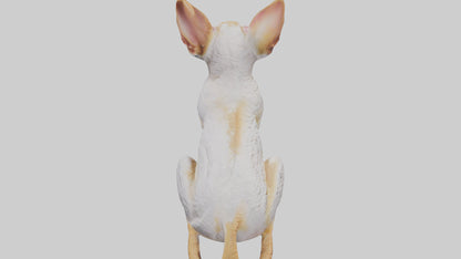 Cornish Rex statue model VR / AR / low-poly