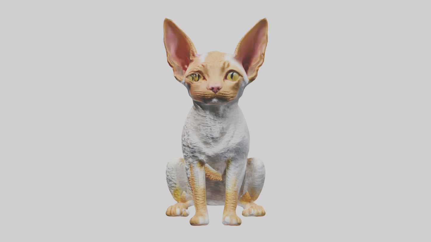 Cornish Rex statue model VR / AR / low-poly