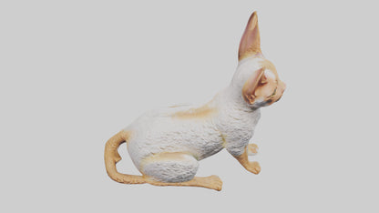 Cornish Rex statue model VR / AR / low-poly