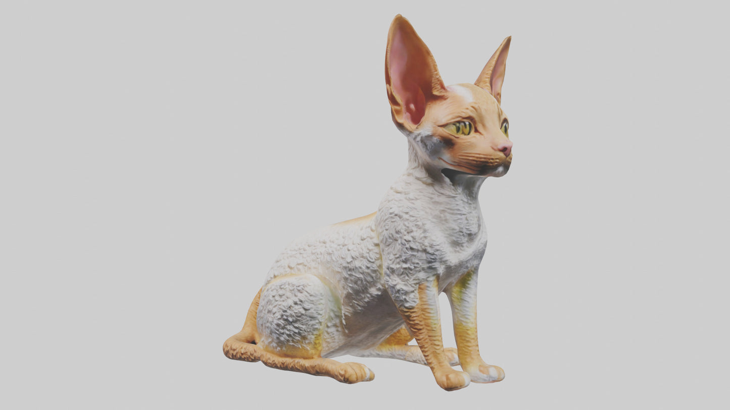 Cornish Rex statue model VR / AR / low-poly