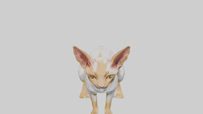 Cornish Rex statue model VR / AR / low-poly
