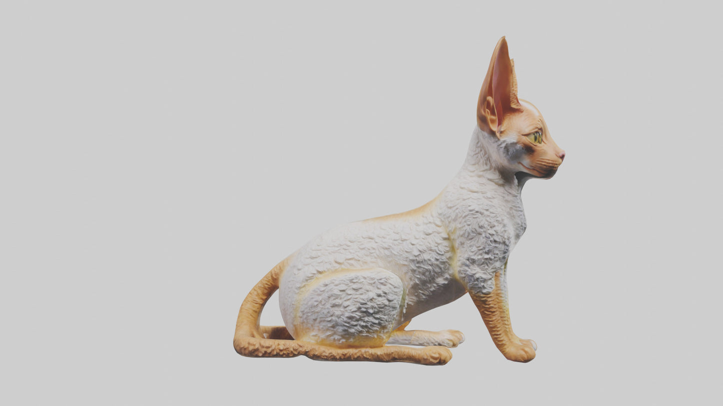 Cornish Rex statue model VR / AR / low-poly