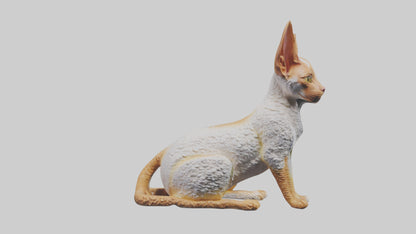 Cornish Rex statue model VR / AR / low-poly