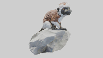 Cottontop Tamarin statue model 3D model