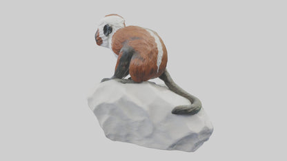 Cottontop Tamarin statue model 3D model