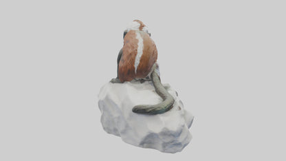 Cottontop Tamarin statue model 3D model