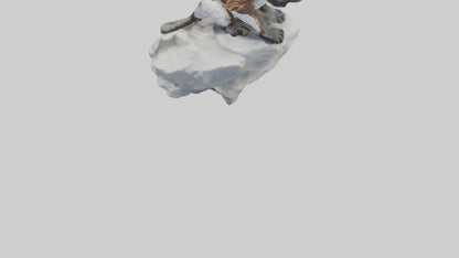 Cottontop Tamarin statue model 3D model