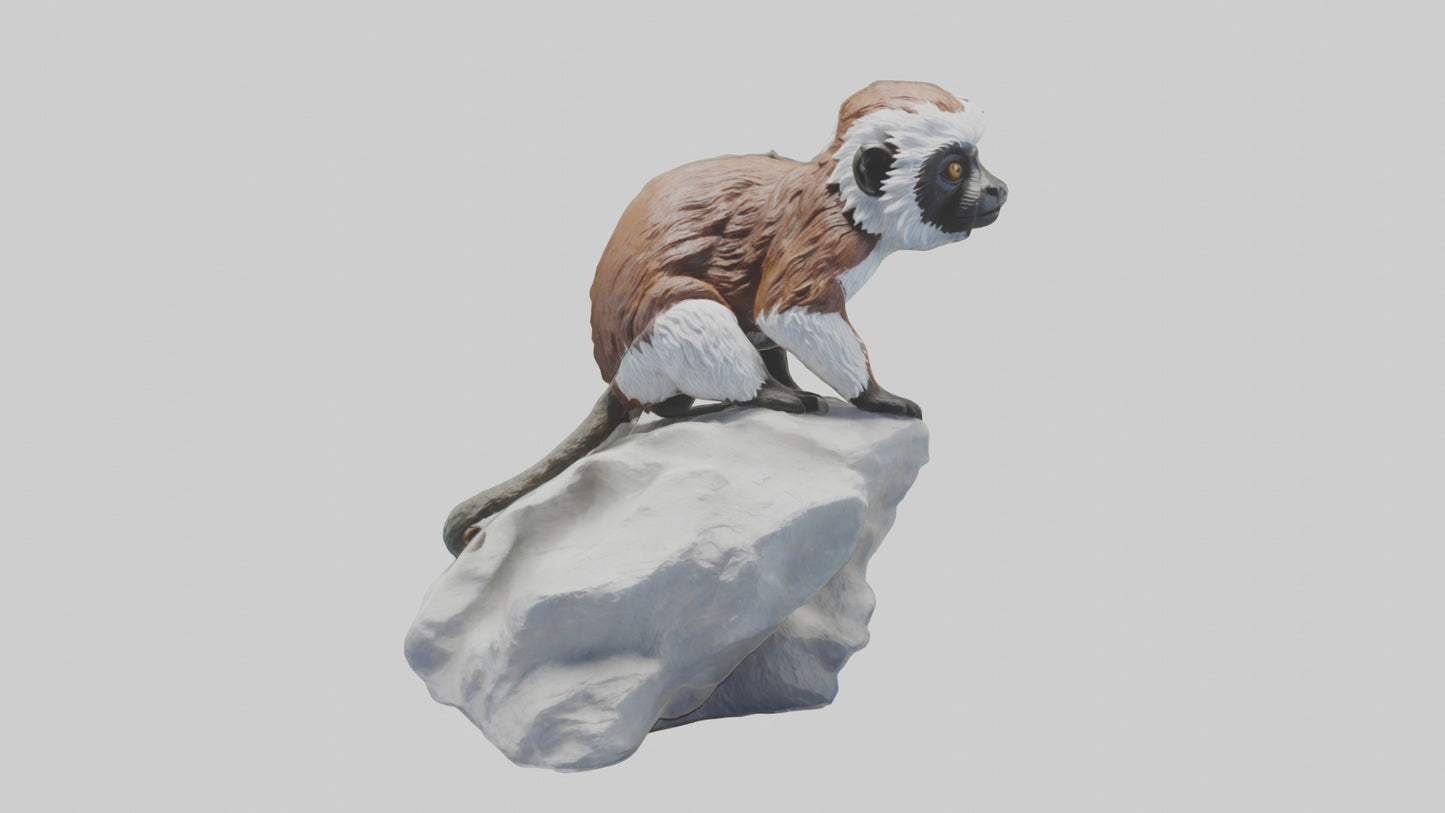 Cottontop Tamarin statue model 3D model