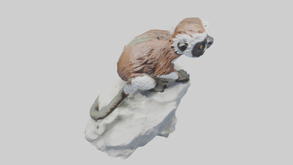 Cottontop Tamarin statue model 3D model