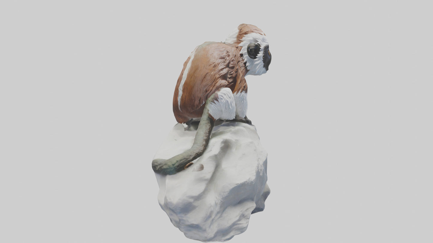 Cottontop Tamarin statue model 3D model