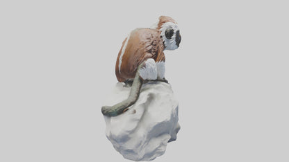 Cottontop Tamarin statue model 3D model