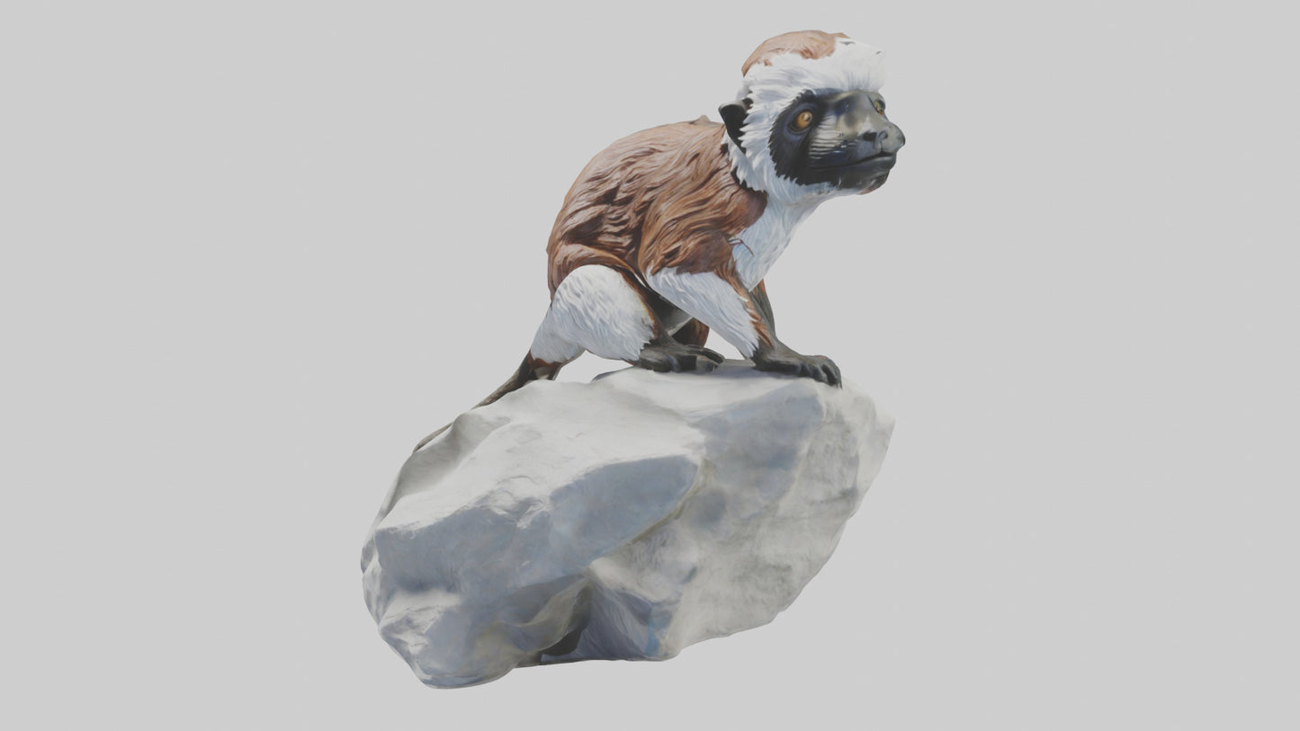 Cottontop Tamarin statue model 3D model