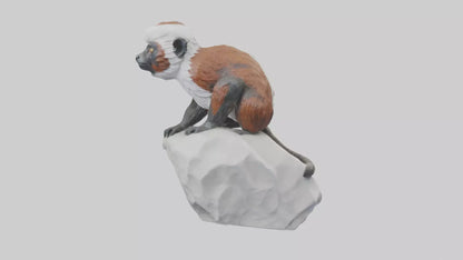 Cottontop Tamarin statue model 3D model