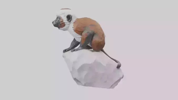 Cottontop Tamarin statue model 3D model