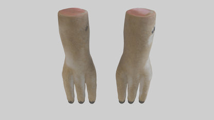 3D model Coyote Paws VR / AR / low-poly