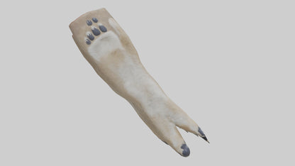 3D model Coyote Paws VR / AR / low-poly