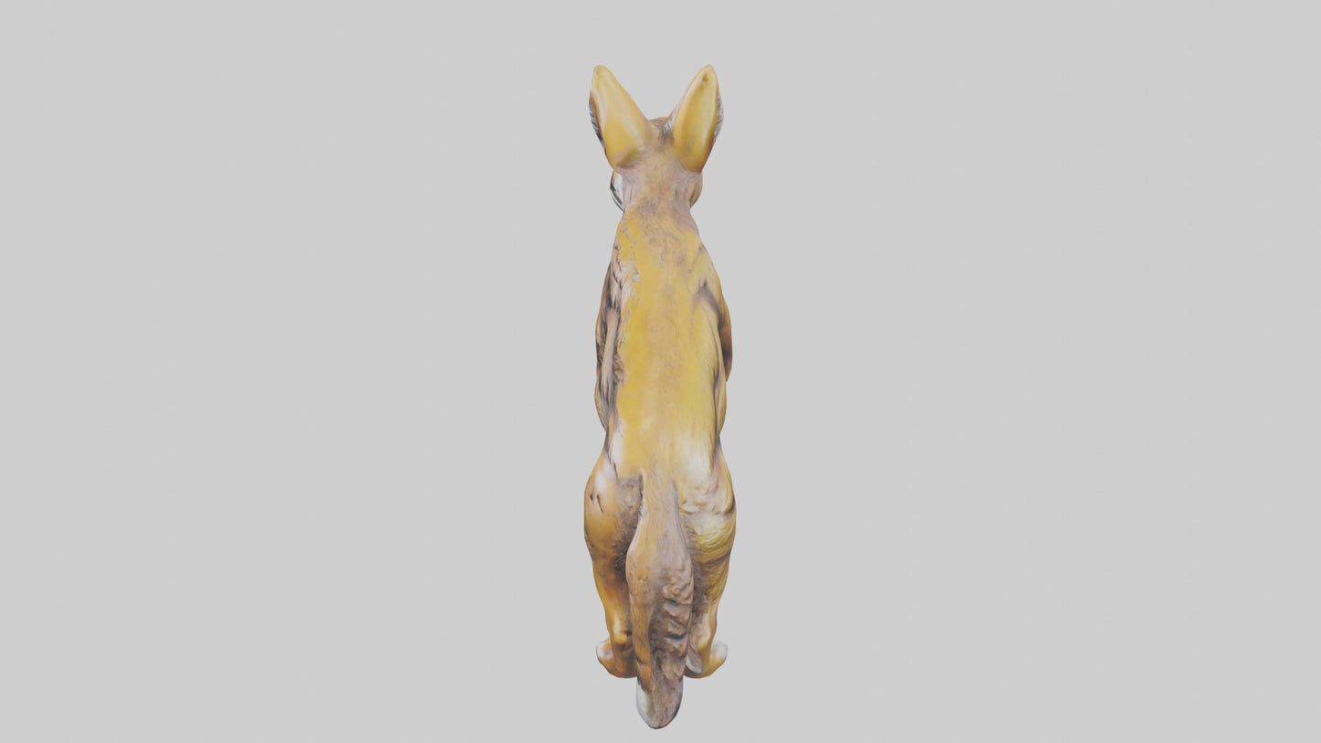 3D model Coyote statue model VR / AR / low-poly