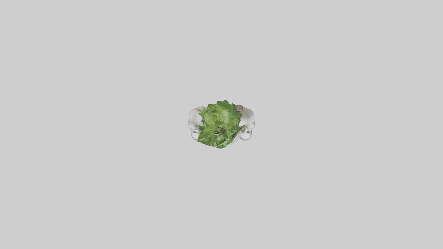 3D model Cress model VR / AR / low-poly