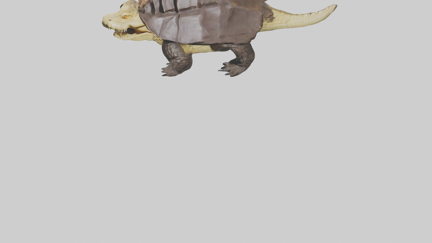 Crocodile Alligator snapping model VR / AR / low-poly