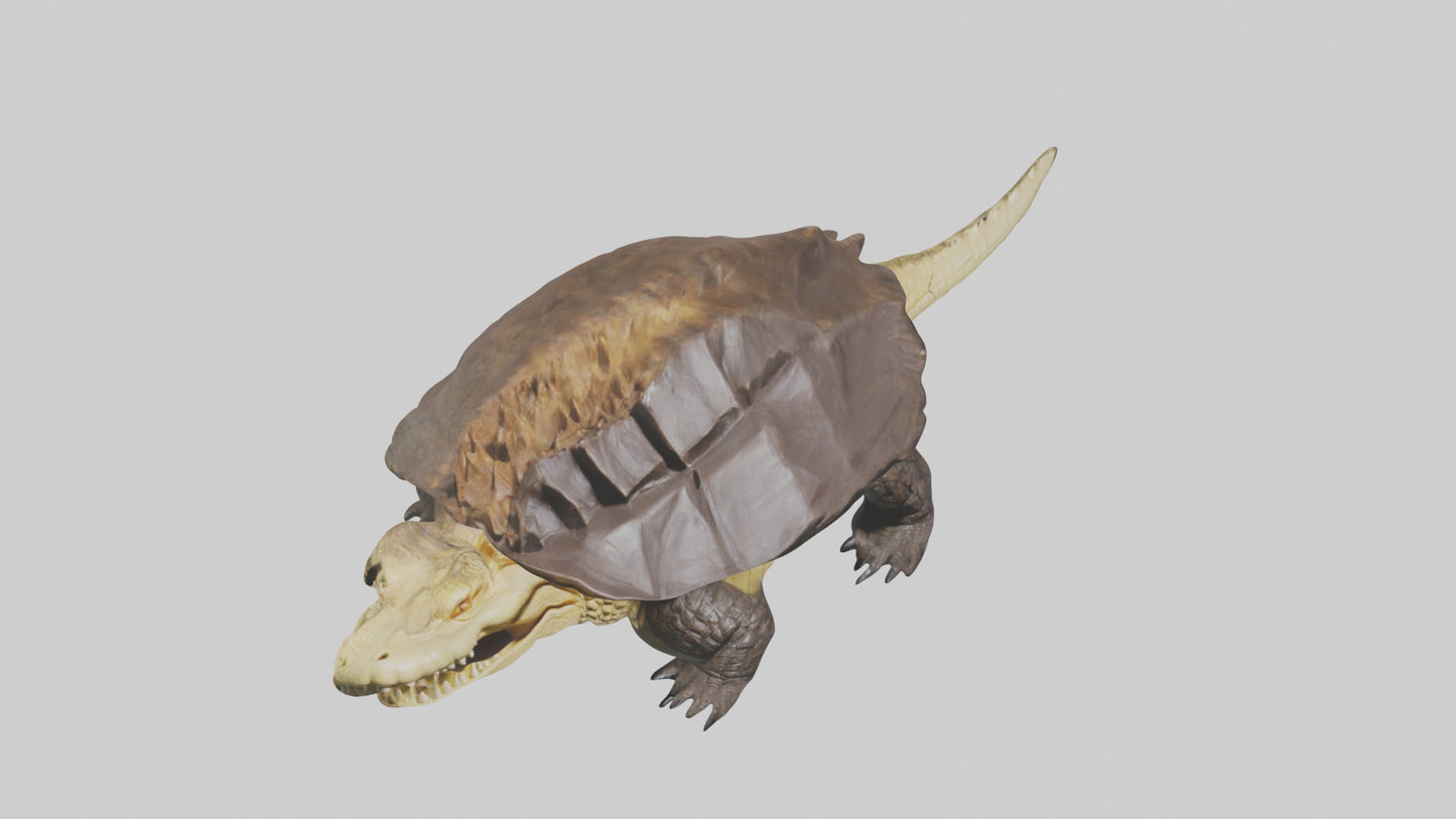 Crocodile Alligator snapping model VR / AR / low-poly