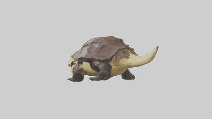 Crocodile Alligator snapping model VR / AR / low-poly