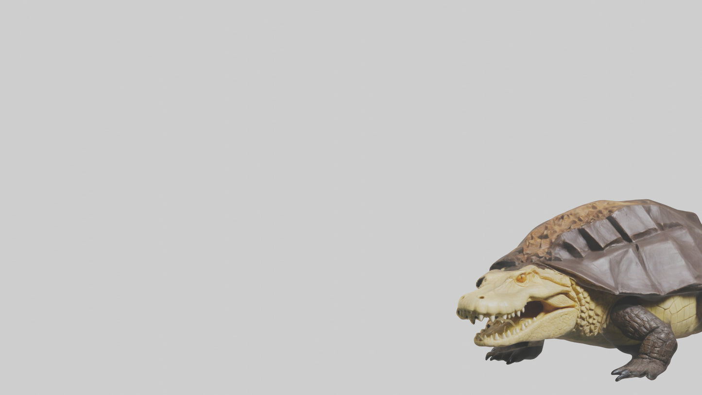 Crocodile Alligator snapping model VR / AR / low-poly