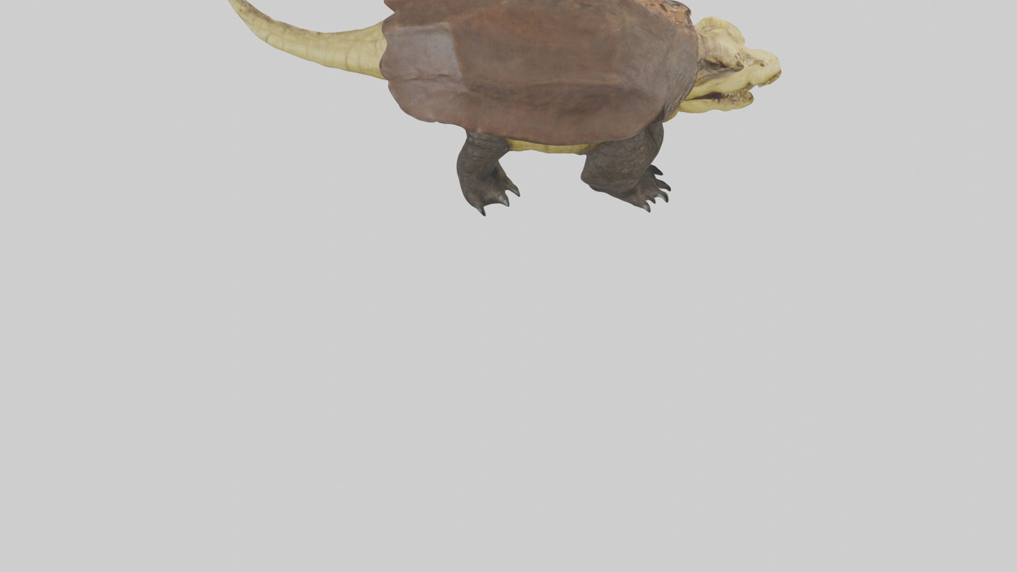 Crocodile Alligator snapping model VR / AR / low-poly