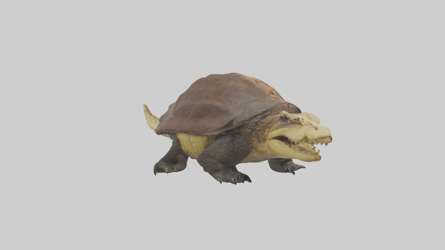 Crocodile Alligator snapping model VR / AR / low-poly