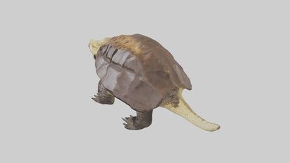 Crocodile Alligator snapping model VR / AR / low-poly