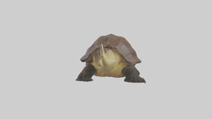 Crocodile Alligator snapping model VR / AR / low-poly