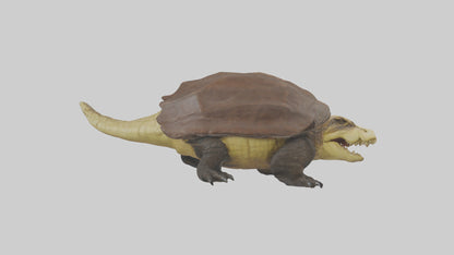 Crocodile Alligator snapping model VR / AR / low-poly