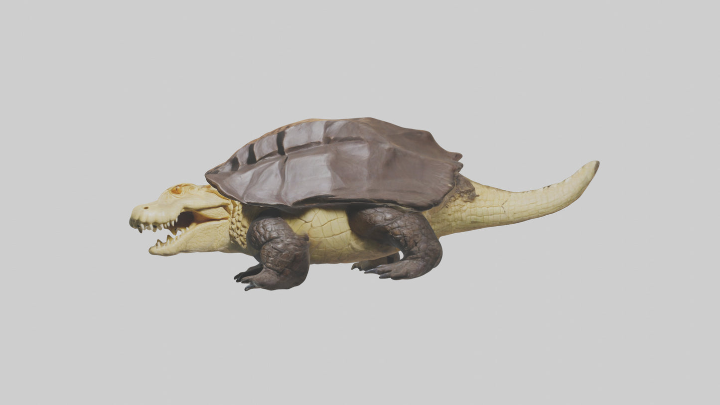 Crocodile Alligator snapping model VR / AR / low-poly