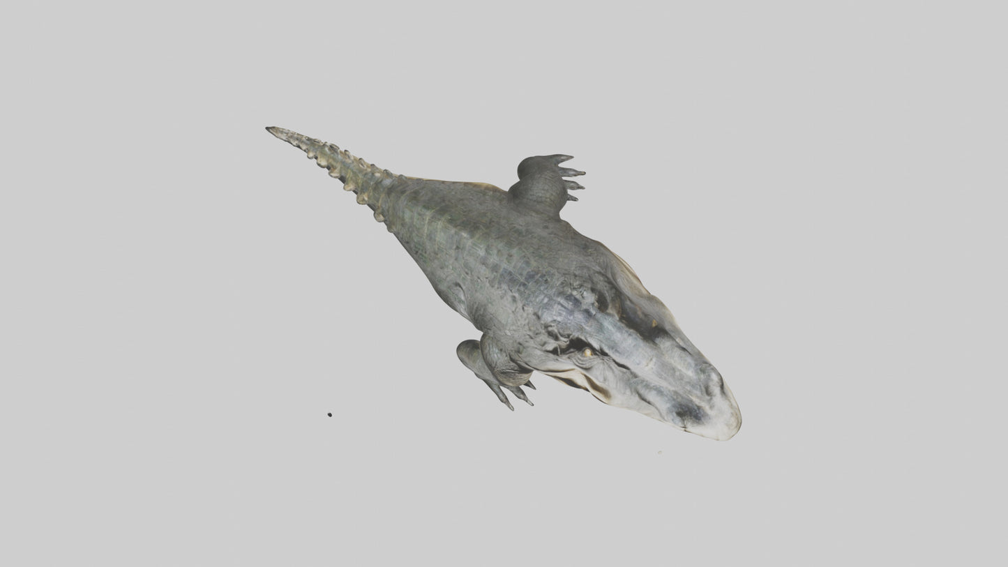 Crocodile Jaws VR / AR / low-poly
